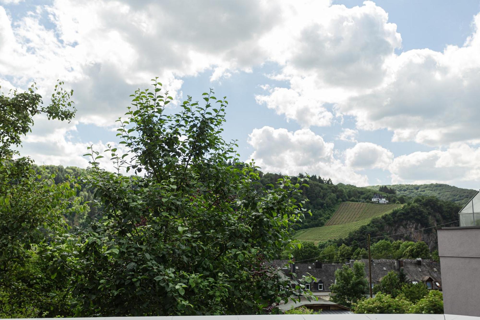 Luxusferienwohnung Moselruhe Bullay Mit Grosser Terrasse Und Schoenem Ausblick Buitenkant foto